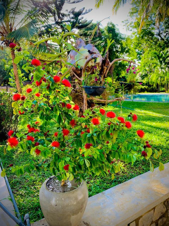 Moonstone Villas Tangalle Exterior photo